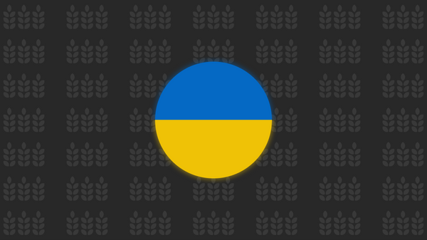 افزایش صادرات غلات اوکراین به کشورهای همسایه - اسپوتنیک افغانستان  