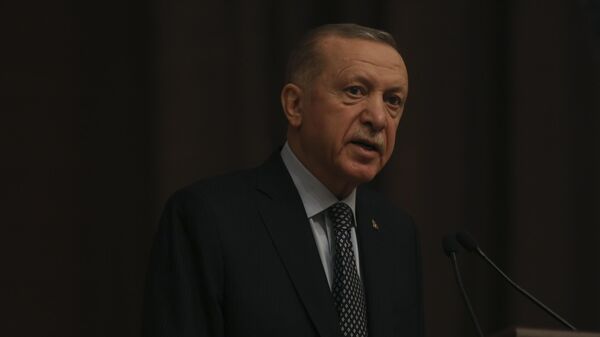 Президент Турции Реджеп Тайип Эрдоган выступает перед СМИ после саммита в Анкаре, Турция - اسپوتنیک افغانستان  