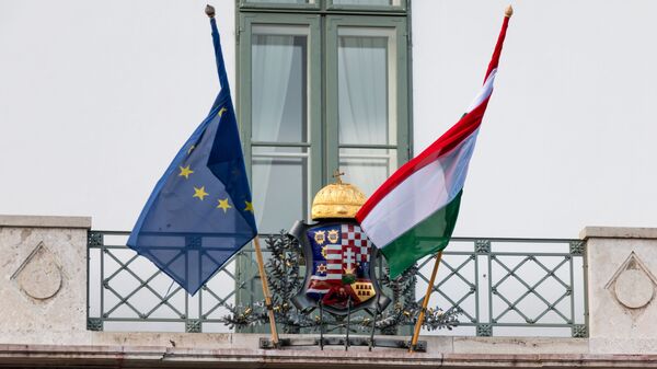 Флаги Венгрии и Евросоюза на президентском дворце в Будапеште - اسپوتنیک افغانستان  