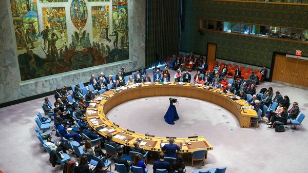  شورای امنیت سازمان ملل - اسپوتنیک افغانستان  