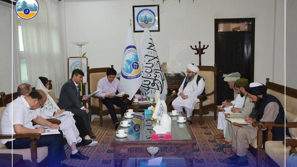 ملاقات سرپرست وزارت معادن و پترولیم - اسپوتنیک افغانستان  