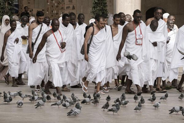 زائران در حین زیارت سالانه حج در مکه، عربستان سعودی در کنار کبوترها در خارج از مسجد الحرام قدم می زنند.شنبه 24 جون 2023 - اسپوتنیک افغانستان  