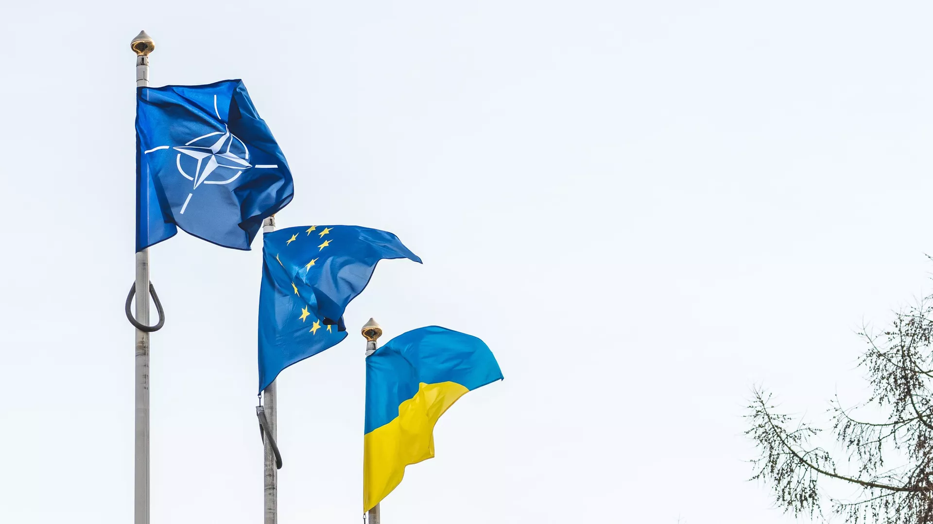 Флаг НАТО, Евросоюза и Украины