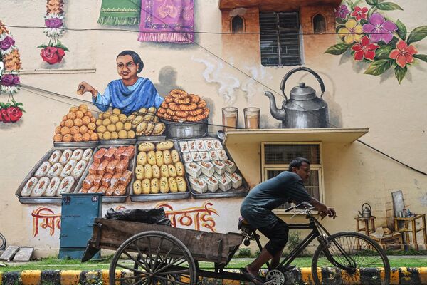 مردی سوار بر گاری دوچرخه از کنار یک نقاشی دیواری در امتداد خیابانی در دهلی نو می گذرد30 جون 2023(عکس از آرون سانکار / خبرگزاری فرانسه) - اسپوتنیک افغانستان  