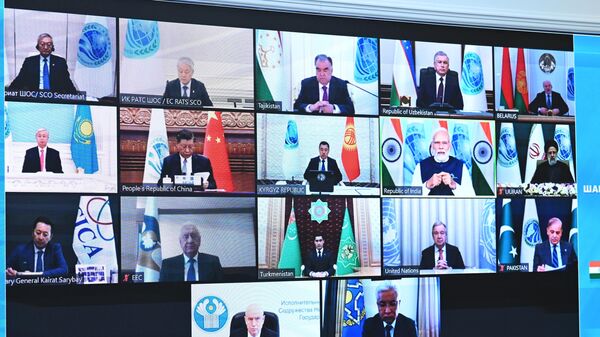 Участники заседания Совета глав государств – членов Шанхайской организации сотрудничества в режиме видеоконференции - اسپوتنیک افغانستان  