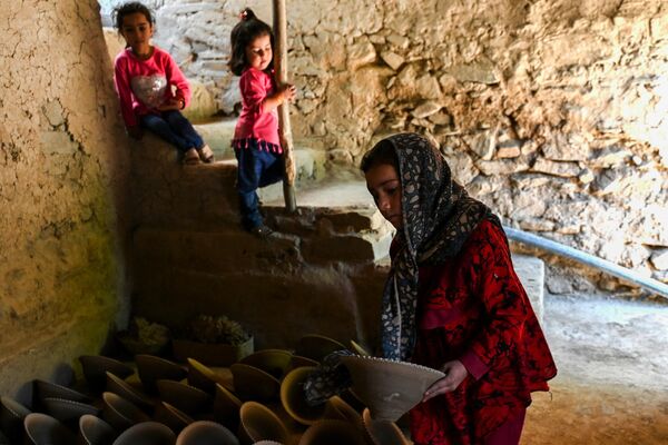 افغانستان، تاریخ پرافتخاری در زمینه صنعت سفا‌ل‌گری سنتی دارد. - اسپوتنیک افغانستان  