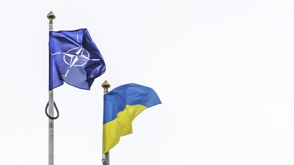 Флаг НАТО и Украины - اسپوتنیک افغانستان  