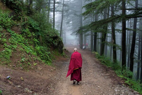 یک راهب بودایی تبتی تبعیدی در مسیر کوهستانی در دارمشالای هند قدم می زند.9 آگوست 2023 - اسپوتنیک افغانستان  