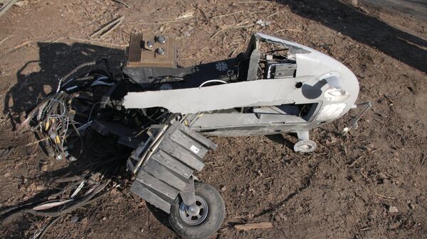 Один из сбитых в Киевской области беспилотников Байрактар ТБ-2 - اسپوتنیک افغانستان  