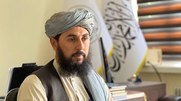 عرفان الله شرفزوی، سخنگوی جمعیت هلال احمر افغانی - اسپوتنیک افغانستان  