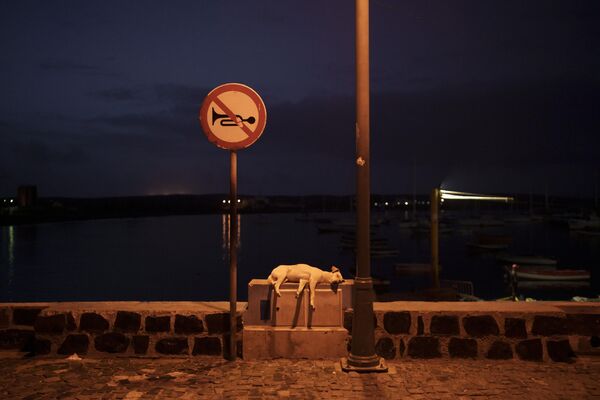 یک سگ زیر علامت بوق زدن ممنوع در پالمیرا، جزیره سال، کیپ ورد، جمعه، 25 اگست 2023 می خوابد. - اسپوتنیک افغانستان  