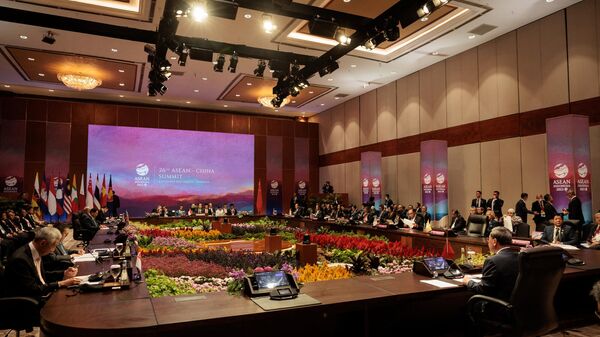 Саммит АСЕАН-Китай в Индонезии  - اسپوتنیک افغانستان  