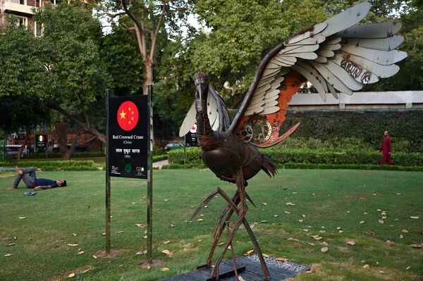 مجسمه درنای سر سرخ، پرنده ملی چین در پارک دهلی نو در 5 سپتمبر 2023، پیش از اجلاس G20 هند به نمایش گذاشته شد. - اسپوتنیک افغانستان  