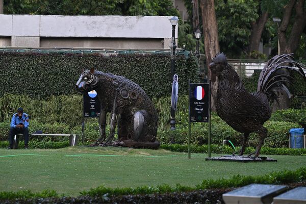 مجسمه‌های خروس گالیک ، پرنده ملی فرانسه و پوما، حیوان ملی ارجانتاین در پارک دهلی نو در 5 سپتمبر 2023، پیش از اجلاس G20 هند به نمایش گذاشته شد. - اسپوتنیک افغانستان  