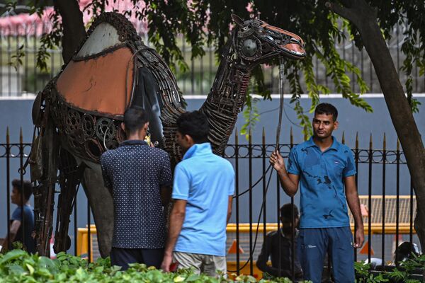 مجسمه شتر، حیوان ملی عربستان سعودی در پارک دهلی نو در 5 سپتمبر 2023، پیش از اجلاس G20 هند به نمایش گذاشته شد. - اسپوتنیک افغانستان  