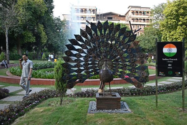 مجسمه طاووس، پرنده ملی هند در پارک دهلی نو در 5 سپتمبر 2023، پیش از اجلاس G20 هند به نمایش گذاشته شد. - اسپوتنیک افغانستان  
