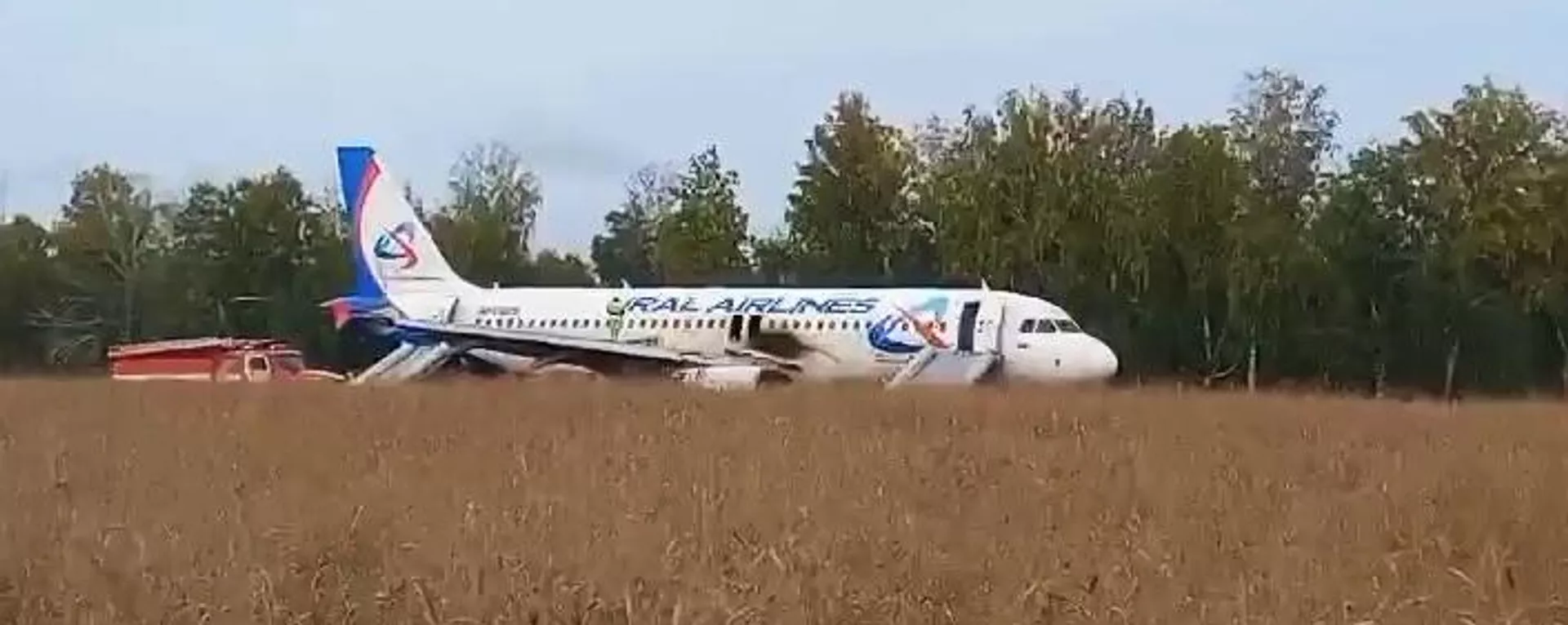 Самолёт, совершивший аварийную посадку на грунт в Убинском районе Новосибирской области - اسپوتنیک افغانستان  , 1920, 12.09.2023