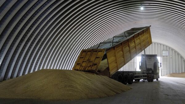 Разгрузка зерна в зернохранилище села Згуровка, Украина. Архивное фото - اسپوتنیک افغانستان  