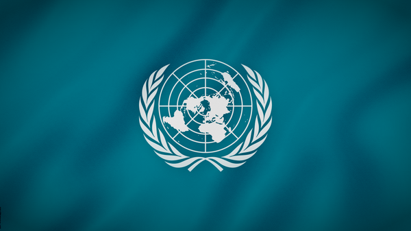 آمریکا می خواهد شورای امنیت سازمان ملل را اصلاح کند - اسپوتنیک افغانستان  