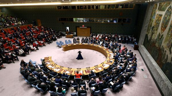 Заседание Совета Безопасности ООН в штаб-квартире ООН в Нью-Йорке - اسپوتنیک افغانستان  
