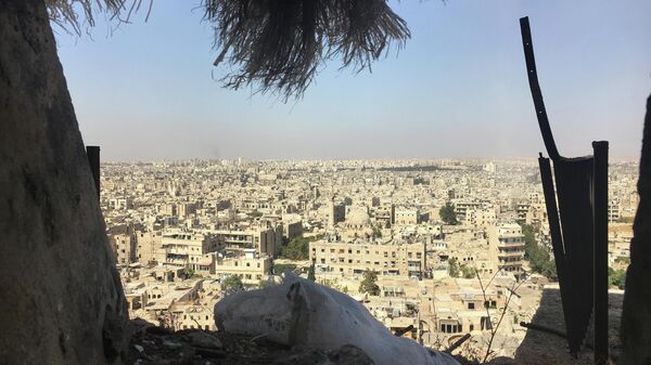 حلب - اسپوتنیک افغانستان  