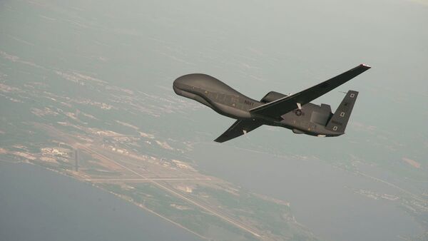 RQ-4 Global Hawk unmanned aerial vehicle conducts tests over Naval Air Station Patuxent River - اسپوتنیک افغانستان  