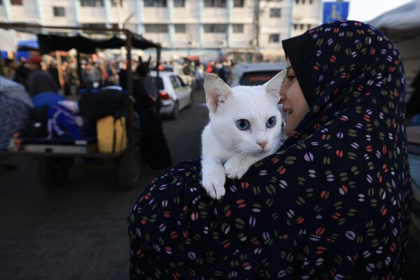 یک زن گربه خود را در حالی که فلسطینی‌هایی که در پناهگاه‌های موقت پناه گرفته بودند به خانه‌های خود در شرق خان یونس در جنوب نوار غزه در اولین ساعات آتش‌بس چهار روزه در نبرد بین اسرائیل و شبه‌نظامیان حماس در 24 نوامبر بازمی‌گردند. 2023. آتش بس چهار روزه در جنگ اسرائیل و حماس در 24 نوامبر آغاز شد و گروگان ها در ازای آزادی اسرا در اولین مهلت بزرگ در هفت هفته جنگ که هزاران کشته برجای گذاشت، آزاد می شوند. - اسپوتنیک افغانستان  