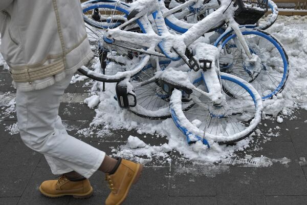 یکی از ساکنان از کنار دوچرخه های پوشیده از برف شرکت‌های اشتراک دوچرخه که در پیاده‌رو پس از بارش برف در پکن، قرار دارند، عبور می کند. بارش برف شبانه در بسیاری از مناطق شمال چین باعث بسته شدن جاده‌ها و تعلیق کلاس‌های درس و تردد قطارها شد. - اسپوتنیک افغانستان  