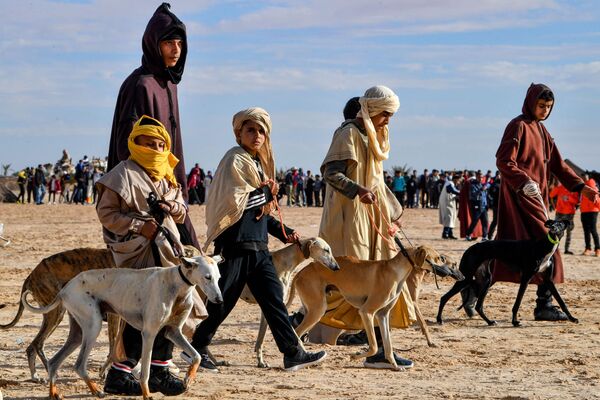 عشایر با سگ های شکاری در رژه افتتاحیه پنجاه و پنجمین جشنواره بین المللی صحرا  در دوز، در جنوب تونس شرکت می کنند. 27 دسامبر 2023 - اسپوتنیک افغانستان  