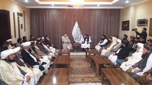 دیدار مولانا فضل‌الرحمان با طالبان - اسپوتنیک افغانستان  