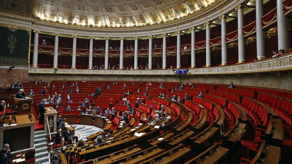 پارلمان فرانسه - اسپوتنیک افغانستان  