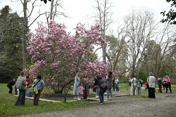 مردم در مقابل پس زمینه ماگنولیا سولانژ شکوفه در پارک فرهنگ های جنوبی در سوچی عکس می گیرند. - اسپوتنیک افغانستان  