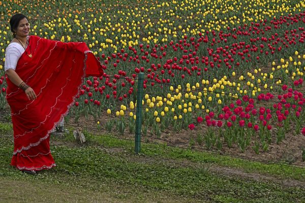 یک بازدیدکننده در 3 اپریل 2024 در مقابل مزرعه گل لاله در باغ لاله یادبود ایندیرا گاندی در سرینگار برای عکس گرفتن ژست می گیرد. - اسپوتنیک افغانستان  