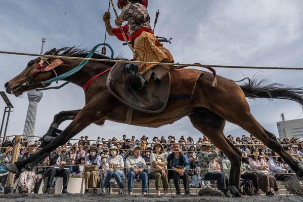 یک کماندار با لباس جنگجویان سامورایی باستانی پس از پرتاب تیر به سمت هدف در حین نمایش هنرهای رزمی با کمان با اسب یابوسام در پارک سومیدا در توکیو در 20 اپریل 2024، سوار اسب می شود. (عکس از Yuichi YAMAZAKI / خبرگزاری فرانسه) - اسپوتنیک افغانستان  