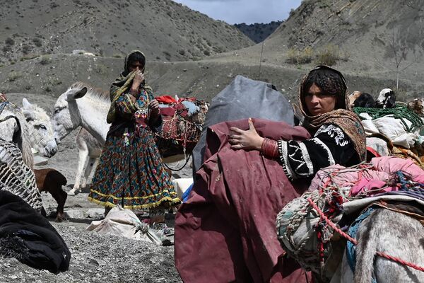 زنان کوچی افغان کوچی در 21 اپریل 2024 در کنار جاده ای در ولسوالی شواک ولایت پکتیا استراحت می کنند. (عکس از وکیل کوهسار / خبرگزاری فرانسه) - اسپوتنیک افغانستان  