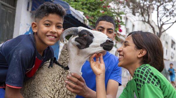 کودکان تونسی در تعطیلات مسلمانان عید قربان، گوسفندی را در تونس المدینه نوازش می کنند - اسپوتنیک افغانستان  