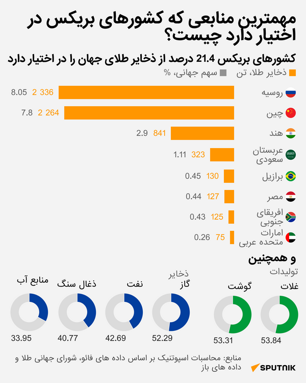 مهمترین منابع کشورهای عضو بریکس چیست؟
 - اسپوتنیک افغانستان  