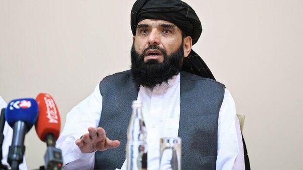 شاهین: حل آشفتگی اوکراین تنها از طریق گفت‌وگوی مسالمت‌آمیز ممکن است - اسپوتنیک افغانستان  