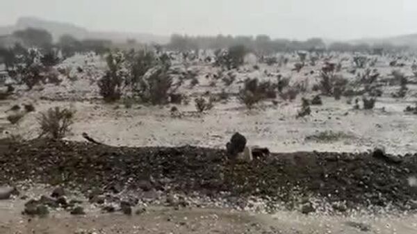 بارش برف و ژاله ای غیر منتظره در شهر طائف عربستان - اسپوتنیک افغانستان  