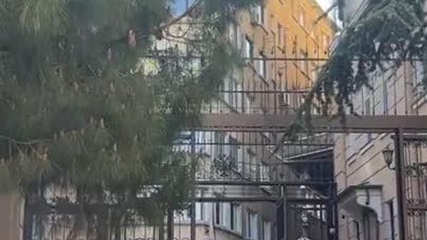 هیئت کنسولگری روسیه استانبول را ترک کرده و طبق گزارش‌ها به سمت کاخ دلماباغچه در حرکت است - اسپوتنیک افغانستان  