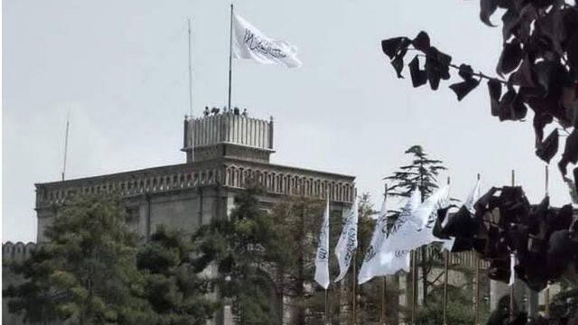 تأکید افغانستان و چین بر گسترش همکاریها؛ کمک 30 میلیون یوانی و دعوت رسمی به نمایشگاه جنوب آسیا تأکید افغانستان و چین بر گسترش همکاریها؛ کمک 30 میلیون یوانی و دعوت رسمی به نمایشگاه جنوب آسیا - اسپوتنیک افغانستان , 1920, 18.05.2025
