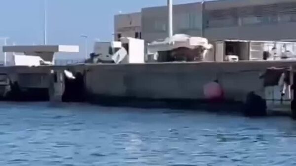 خوک وحشی در اسپانیا آب بازی کرد! - اسپوتنیک افغانستان  