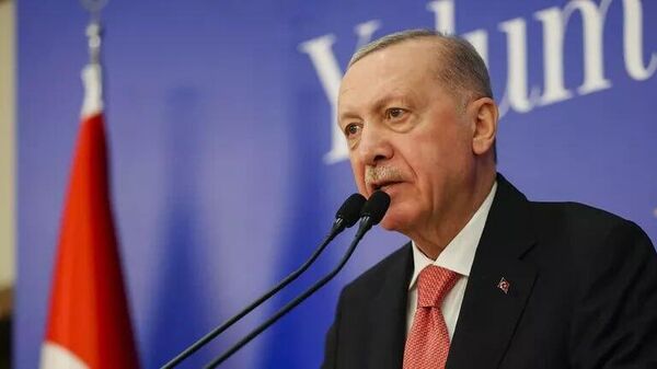 اردوغان قصد دارد ابتکاراتی را برای برگزاری نشست سران اوکراین و روسیه مطرح کند - اسپوتنیک افغانستان  
