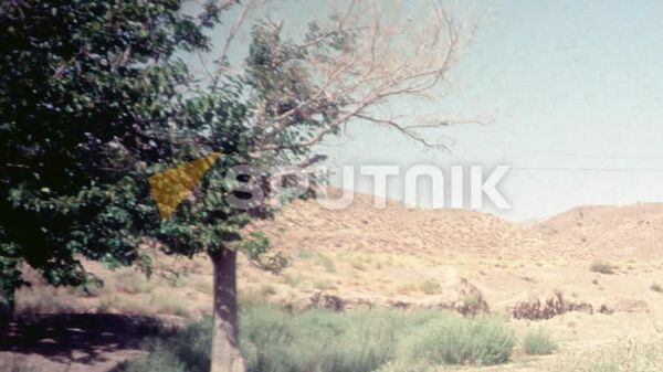 داده نمایی ثروت زیرزمینی افغانستان: گنجینه‌ای که چشم طمع شرکت‌های خارجی را به خود دوخته است - اسپوتنیک افغانستان  