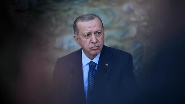 اردوغان: ترکیه اجازه تجزیه سوریه را نخواهد داد - اسپوتنیک افغانستان  