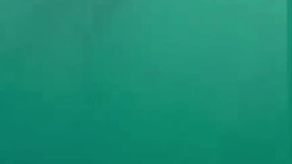 رکورد جهانی غواصی در آب شیرین شکسته شد - اسپوتنیک افغانستان  
