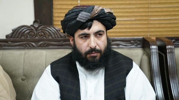 امارات اسلامی در افغانستان شکنجه مهاجران بازگشته را تکذیب کرد - اسپوتنیک افغانستان  
