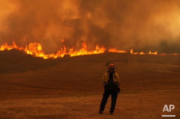 آتش‌سوزی های جنگلی در کالیفرنیا همچنان ادامه دارد - اسپوتنیک افغانستان  