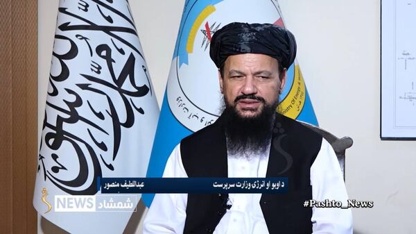 پاکستان نمی‌تواند یک دولت مرکزی قوی و باثبات را در افغانستان تحمل کند - اسپوتنیک افغانستان  