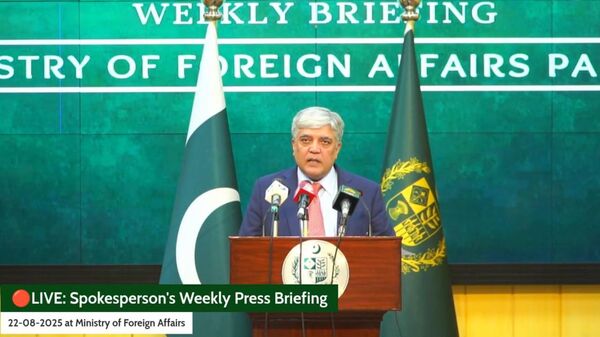 وزارت خارجه‌ی پاکستان می‌گوید میزبان نشست مخالفان امارت اسلامی نیست - اسپوتنیک افغانستان  